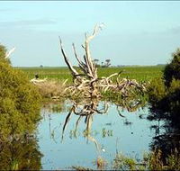 Bool Lagoon Game Reserve and Hacks Lagoon Conservation Park - NT Tourism