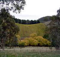 Mt Bera Vineyards - Accommodation NT