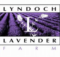 Lyndoch Lavender Farm and Cafe - Accommodation NT