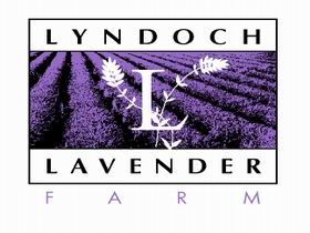 Lyndoch Lavender Farm And Cafe - Accommodation NT 0