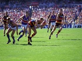 AAMI Stadium Tours - Accommodation NT 0