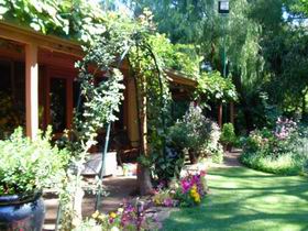 Rainforest Retreat - Accommodation NT 0