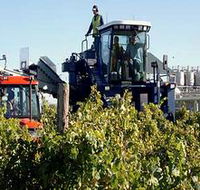 Ballast Stone Estate Wines Pty Ltd - Accommodation NT