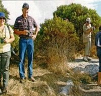 Coobowie Bird Hide - Accommodation NT