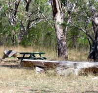 Penola Conservation Park - Accommodation NT