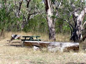 Penola Conservation Park - Accommodation NT 0