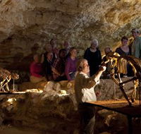 Naracoorte Caves National Park - NT Tourism