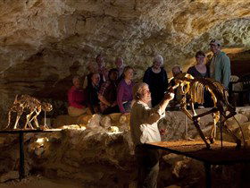 Naracoorte Caves National Park - Accommodation NT 0
