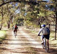 Bike About Mountain Bike Tours And Hire - Accommodation NT