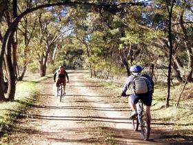 Bike About Mountain Bike Tours And Hire - Accommodation NT 0