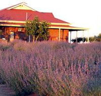 Bella Lavender Estate - Accommodation NT