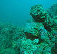 Adelaide's Underwater Heritage Trail - Accommodation NT
