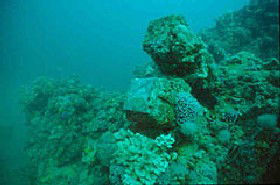Adelaide's Underwater Heritage Trail - NT Tourism 0
