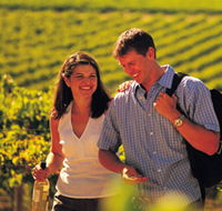 Lady Bay Vineyard - Accommodation NT