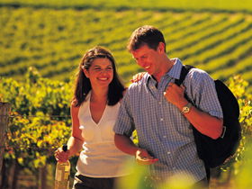 Lady Bay Vineyard - Accommodation NT 0