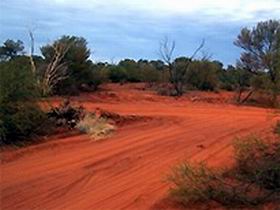 Tallaringa Conservation Park - Accommodation NT 0