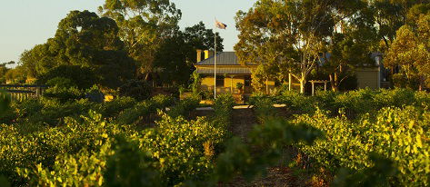 Greenock Creek Wines - Accommodation NT 2