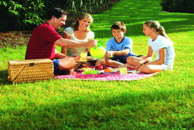 Bruny Island Berry Farm - NT Tourism 0