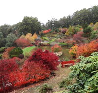 Emu Valley Rhododendron Garden - Accommodation NT