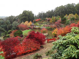 Emu Valley Rhododendron Garden - Accommodation NT 0