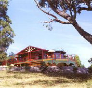 Barringwood Park Vineyard - Accommodation NT