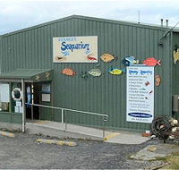 Stanley Seaquarium - Accommodation NT
