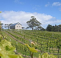 Bruny Island Premium Wines Bar and Grill - Accommodation NT