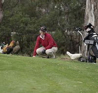 Tasmania Golf Club - The - Accommodation NT