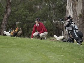 Tasmania Golf Club - The - Accommodation NT 0