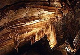 Gunns Plains Cave - Accommodation NT 0