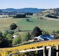 Freycinet Vineyards Pty Ltd - Accommodation NT