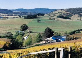 Freycinet Vineyards Pty Ltd - Accommodation NT 0