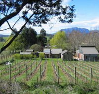 Wilmot Hills Vineyard - Accommodation NT
