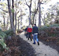 Bridport Walking Track - Accommodation NT