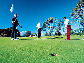 Dover Golf Club Inc - Accommodation NT 0