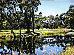 Book Smithton TAS Attractions NT Tourism NT Tourism