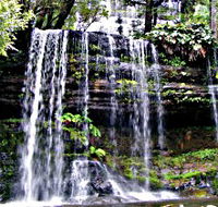 Mt Field National Park - Accommodation NT