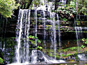 Mt Field National Park - Accommodation NT 0