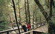 Franklin River Nature Trail - thumb 0