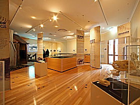 Tasmanian Tiger Exhibition - Accommodation NT 0