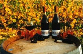 Craigow Vineyard - Accommodation NT 0