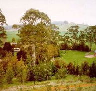 The Tasmanian Arboretum - Accommodation NT