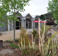Tin Dragon Interpretation Centre and Cafe - Accommodation NT