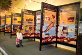 Platypus Experience - Accommodation NT 0