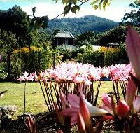 Blueberry Cottage Open Gardens - Accommodation NT