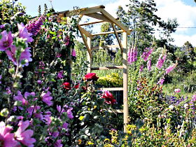 Thelma Retreat Garden And Teahouse - Accommodation NT 0
