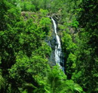 Kondalilla National Park - Accommodation NT