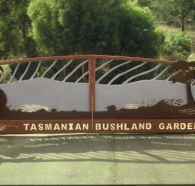 Tasmanian Bushland Garden - Accommodation NT