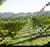 Surveyor's Hill Vineyards - Accommodation NT
