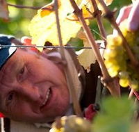 Puddleduck Vineyard - Accommodation NT